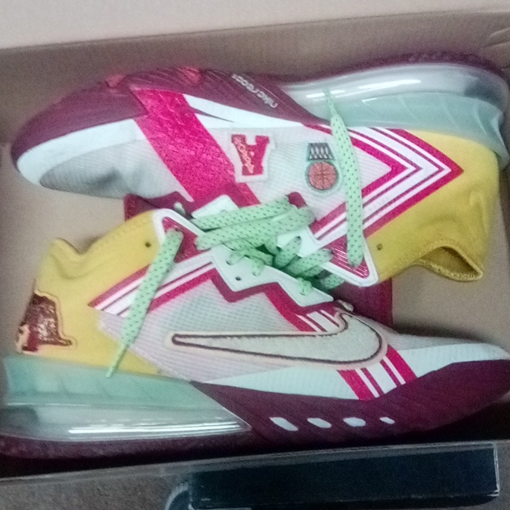 Lebron basketball shoes size 9